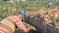 ÇKS başvurularında adres değişti; ÇKS yenileme ve ilk kayıtta hangi işlemler yapılacak?