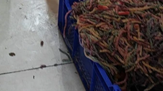 Gıda terörü çocuklara uzandı; Ya ihbar eden olmasaydı...