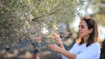 Türk zeytinyağı dünya birincisi oldu