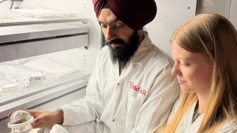 Bilim insanları yulafın genetik haritasını çözdü