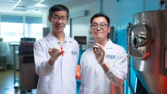 Keçiboynuzu çikolataya rakip oluyor