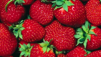 Mısır dondurulmuş çilekte vites yükseltti: Türkiye’nin güçlü olduğu alanda sessiz rakip büyüyor