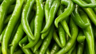 Yılın son zehirlileri; Biber.. Avrupa birini imha etti birini geri gönderdi