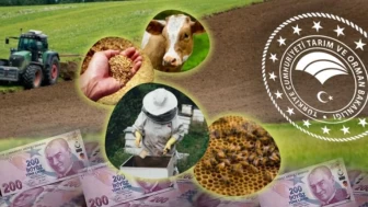 Yeni tarım destekleri hakkında tüm merak edilenler; Planlı üretim desteği hangi ürünler için geçerli... Destek katsayısı nedir?