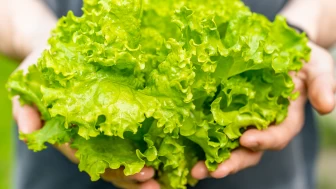 Ölümcül bakteri bu kez Carrefour marka marulda saptandı