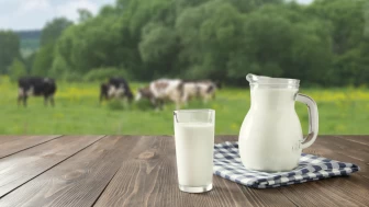 Keçi sütü, kas sağlığına inek sütünden daha fazla fayda sağlıyor