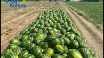 Yok böyle bir fiyat farkı.. Meyve sebze tarlada ne kadar tezgahta ne kadar?