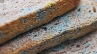 Küflü ekmek yenirse ne olur; küflü ekmek zehirler mi?