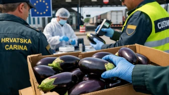 Domates, biber, patlıcan.. Maalesef şarkı değil tarım zehri