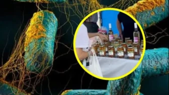 Konserve zehri yine can aldı.. En güçlü toksin olarak biliniyor!