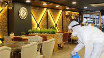 Fare ve hamamböcekleri yüzünden yüzlerce işletme kapatıldı!