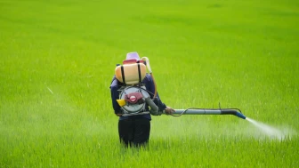Yasaklı pestisitleri ülkelerinde kullanmıyorlar ama satıyorlar!