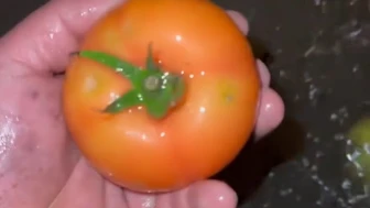 Antalya’da sel felaketi: Seralar su altında, domates tarlaları yok oldu