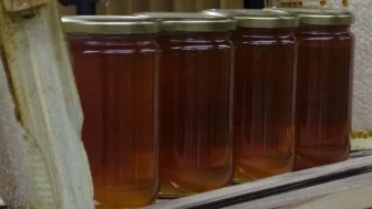 Dünyanın en pahalı balı olarak Guinness’e girdi