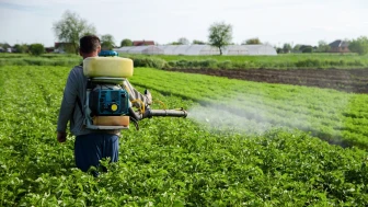 Yaygın tarım ilaçları erkek doğurganlığını tehdit ediyor