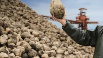 Şeker pancarı alım fiyatı açıklandı: Ton başına 3.720 TL. Bu rakam çiftçinin beklentisini karşıladı mı?