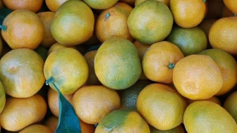 Mandalina dalında ucuzladı, üreticiler çözüm için Külliye'ye gitti: Rusya ve Ukrayna alarmı