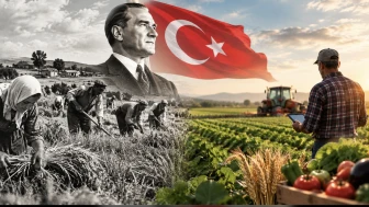 Cumhuriyet döneminde Türkiye tarımı nasıl değişti? Çiftçinin bugünkü tablosu