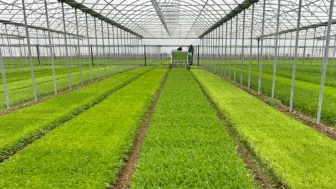 Bakan Şimşek duyurdu: Gıda fiyatları böyle düşer mi?