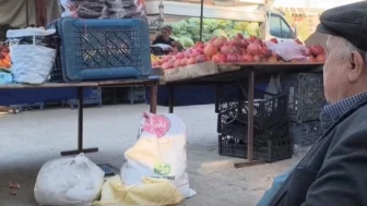 Emeklilere aylık 2500 TL gıda yardımı