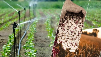 Tarım desteği için icmal itirazlarına dikkat