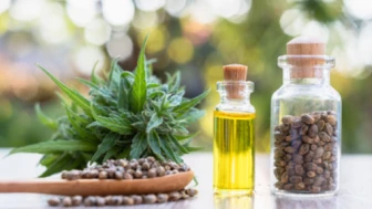 CBD yağı güvenli mi; faydaları neler? Kenevir yağı ile CBD yağı arasındaki fark..