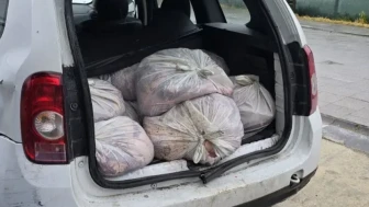 Çatalca’da at çiftliğine at eti operasyonu