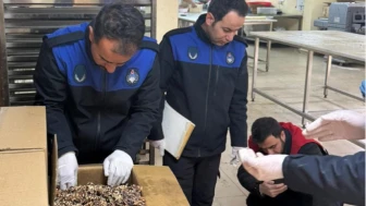 Baklavada küflü Antep fıstığından sonra küflü ceviz!