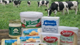 Peynire bitkisel yağ, yoğurda nişasta: 22 firma ve 29 marka ifşa oldu