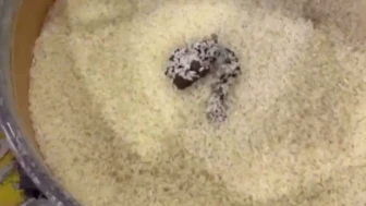 Pirinçteki kedi kakasına 52 bin TL ceza