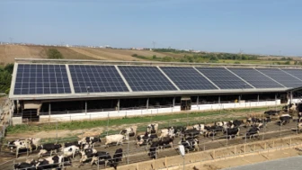 Tarım tesislerindeki GES'ler için yeni düzenleme: Gece elektriğine ödeme dönemi