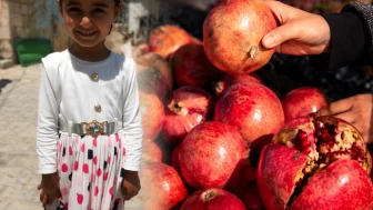 Avrupa'ya giden narda bir çocuğu öldüren tarım zehri 61 kat yüksek çıktı