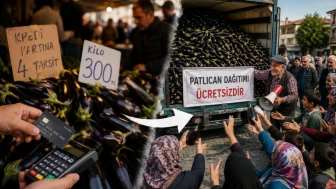 Taneyle satın alınan patlıcan 2 ay sonra bedava!
