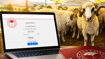 Kırsalda Bereket sonuçları açıklandı! 100 koyun desteğinde adı çıkanlar ne yapacak?