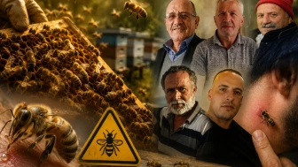 3 ayda arı sokmasından 5 kişi öldü; Arı soktuğunda ne yapmalı?