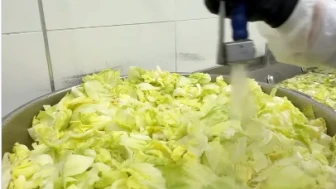 Marul nasıl yıkanır? Bakteri riskini azaltan en etkili yöntem hangisi?