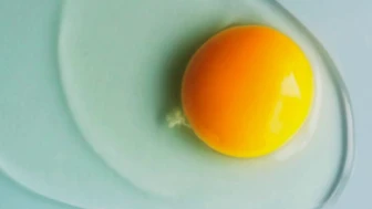 Yumurta salgınında 549 vaka, 2 ölüm; Yumurta yerken nelere dikkat edilmeli?