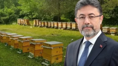 Bakan açıkladı; balda tağşişe yeni önlem
