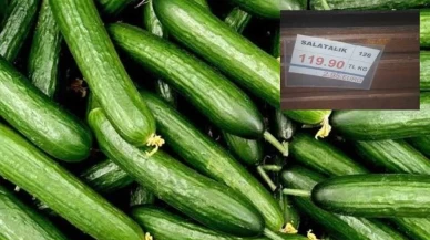 Salatalığın fiyatındaki artış altını solladı.. Bir günde fiyatı inanılmaz yükseldi