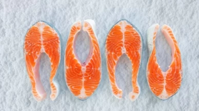 Türk somonu Omega-3 zengini algle beslenip premium oluyor