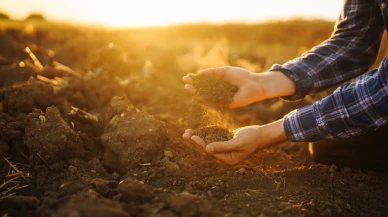 Modern tarım alarm veriyor: Dünya toprakları tükeniyor, Türkiye de risk altında