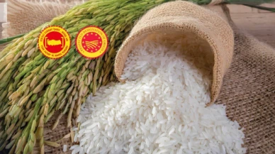 Pirinç ve Kestane şekerimiz Avrupalı oldu!