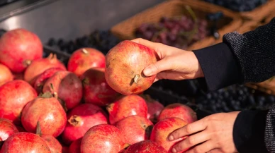 Nardaki tarım zehri limiti 9 kat aşmış!