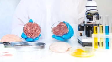 Soya ve bezelyeye rakip yeni protein kaynağı geliyor