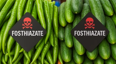 Bu biber ve salatalıklar 'sinir' bozar