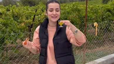 Bir köylü kızı portresi bir tağşiş daha; Nurhan'ın zeytinyağı sahte çıktı