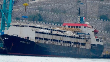 'Dehşet gemisi'ndeki tüm inekler ölecek mi?