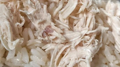 Tavuklu pilav yine zehirledi; 30 işçi zehirlendi.. Tavuk neden zehirliyor?