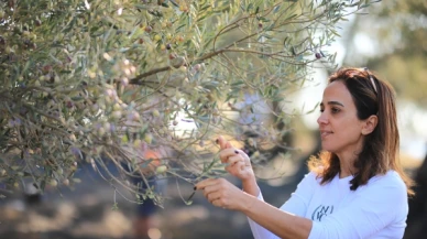 Türk zeytinyağı dünya birincisi oldu