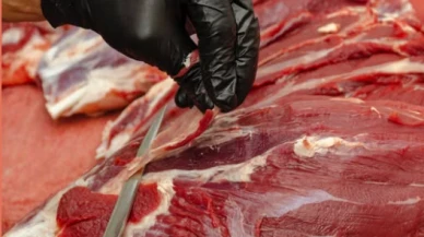 Gıda Mühendisleri Odası’ndan şap hastalığı uyarısı: Mutlaka böyle pişirin...